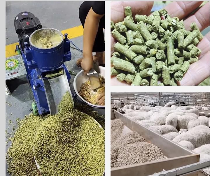 Factory Direct Sale Mini Feed Pellet Machine From China