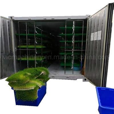 Fodder pasture Grass Garlic Hydroponic Machine