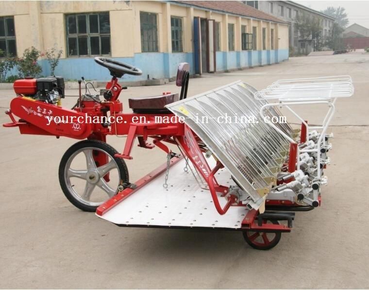 Hot Sale 2z-8300 8 Rows 300mm Rows Width Riding Type Rice Transplanter with ISO Ce Certificate