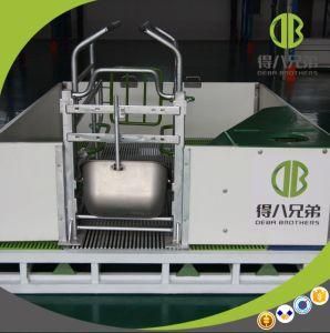 2017 New Style Farrowing Crate in Pig Farm