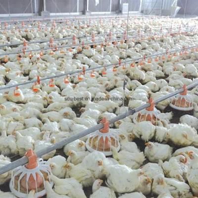 CE Approved Automatic Poultry Farming/Farm/House/Shed/Coop Machine/Equipment for Feeding and Drinking Watering Chicken/Broiler/Breeder