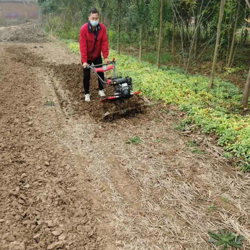 Mini Farm Tools 6HP 7HP 9HP Gas Power Tiller with Tilling and Weeding Function