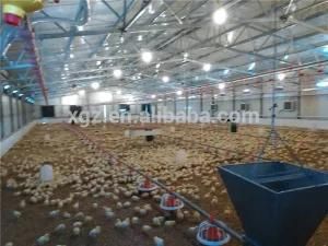 Agricultural Chicken Layer Poultry Machinery