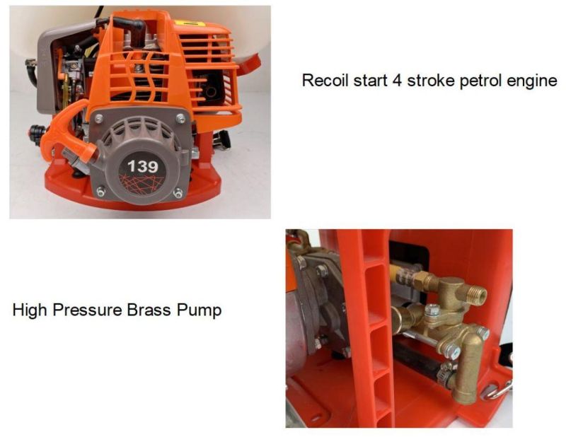 TF-800 Knapsack Power Sprayer for Agriculture Pump Sprayer