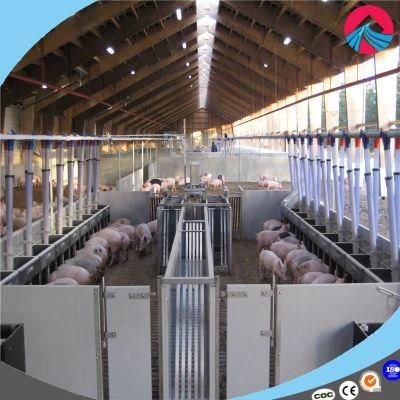 South Africa Hot Sale Pig Farrowing Crate /Farrowing Penning Pig Stall