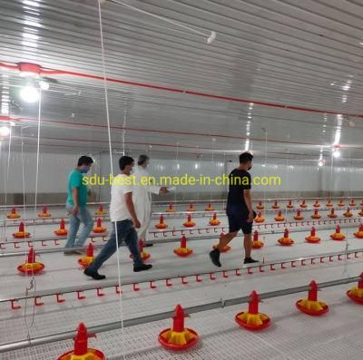 Modern Broiler Poultry Farm Deign in China