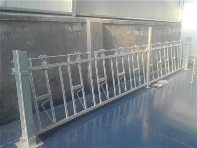 Cow Feeding Gates Cattle Feeder Panels Used Cow Headlocks for Sale