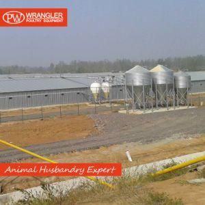 Poultry Shed Project/Chicken Poultry Shed Equipment