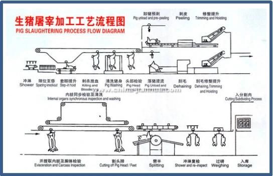 Hog Swine Pig Slaughter House Equipment Pork Meat Process machine