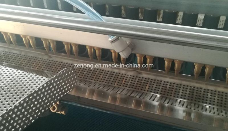 Automatic hole tray nursery seed sowing seedling Machine for vegetable flower