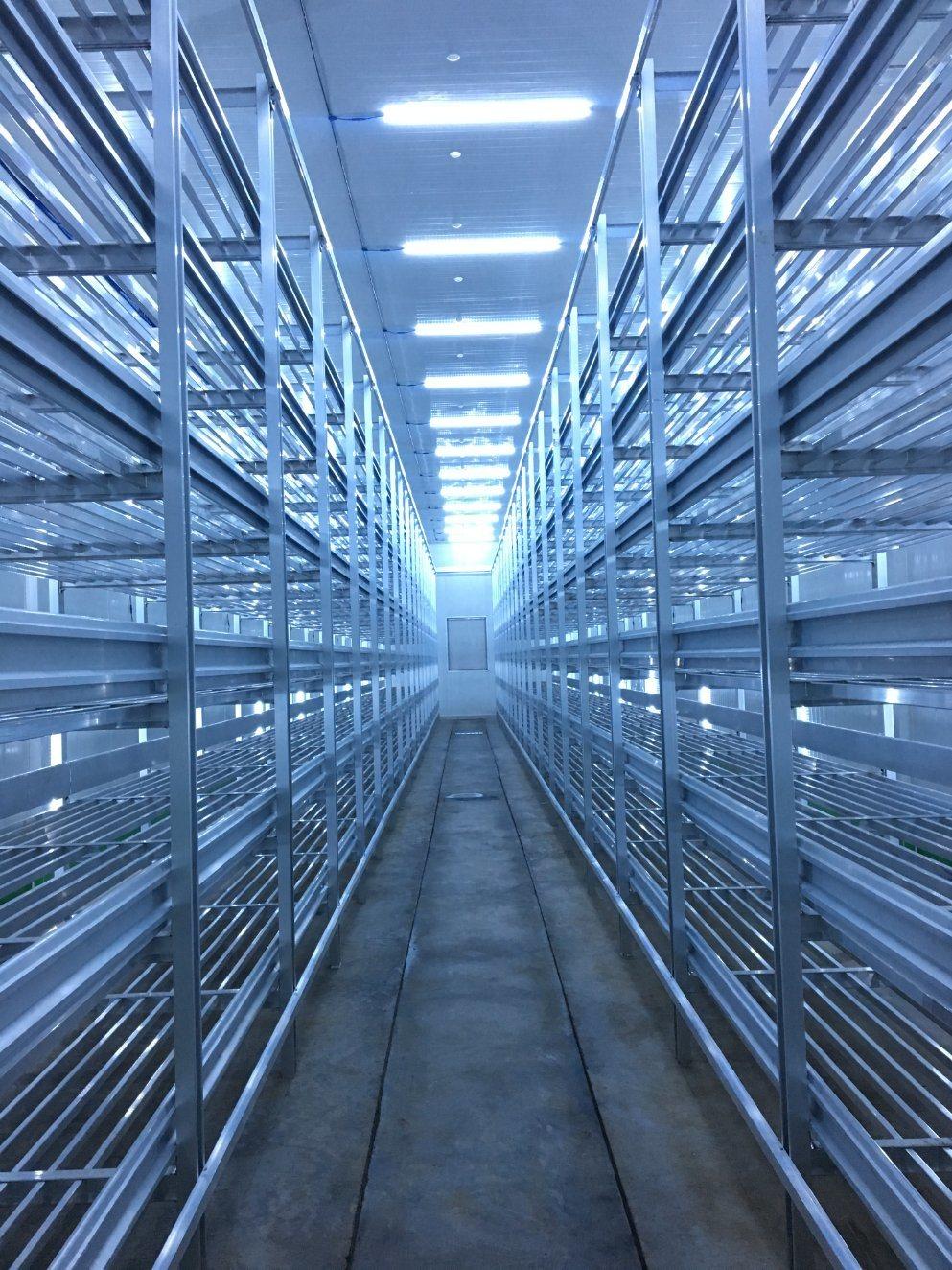 Mushroom Aluminium Alloy Growing Shelves for Farm