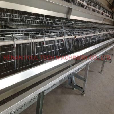 Chicken Cage with Long Life Time of Zinc Aluminum Alloy