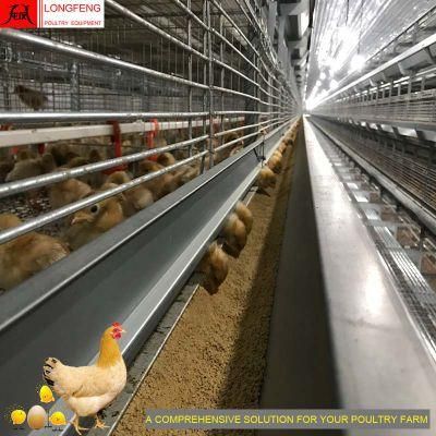 Fans and Cooling Pad Automatic 144, 192, 240, 288birds Poultry Equipment Manufacture