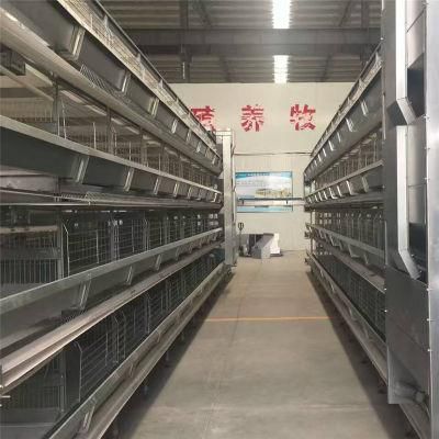 Small Labor Management Quick Install Meat Chicken Poultry Coop