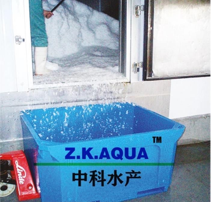 Container Transportation HDPE Live Fish Container