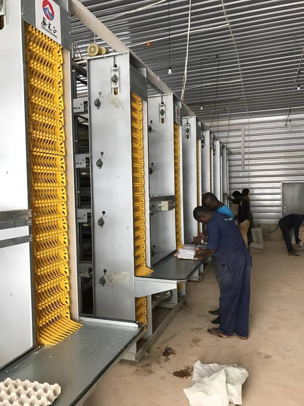 Best Design Low Cost and High Quality Chicken House and Equipment/H-Type Layer Brolier Chicken Equipment