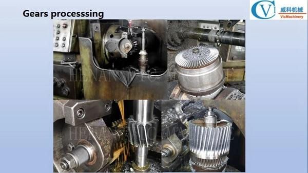 60kg/h Stainless steel oil pressers screw oil press machine