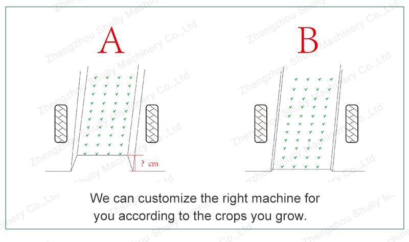 Time Saving and Labor Saving Lettuce Seed Transplanters Tobacco Transplanter