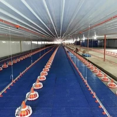 Poultry Broiler Chicken Farm Fully Automatic Farming Feeding/Drinking Line System Equipments