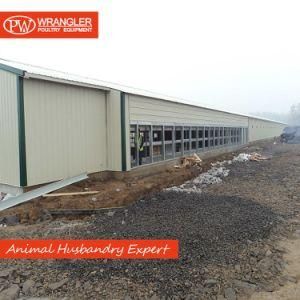 Complete Poultry Farm Equipment/ Steel Structure Poultry Farming House Project