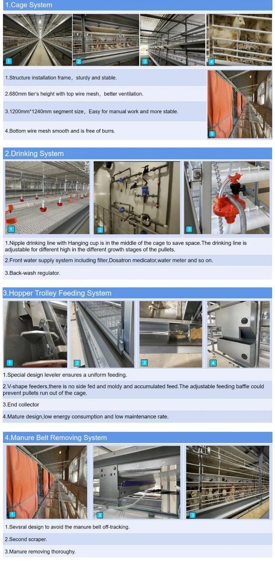 Dosing Medicine and Spray Disinfection Hot Galvanized Computerized Layer Cage Manufacture