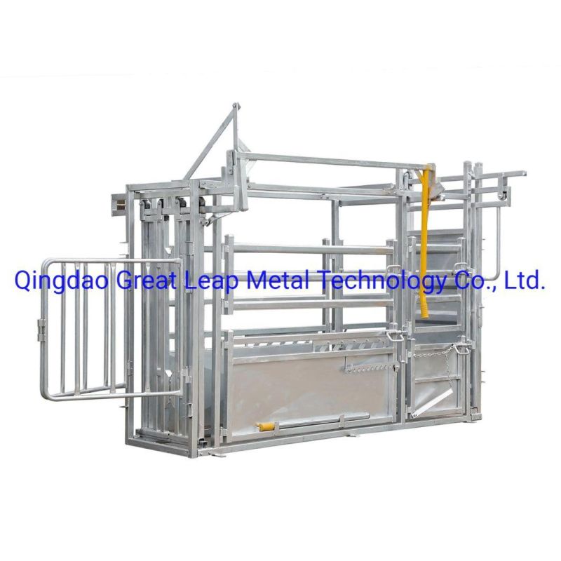 Cattle Equipment Cattle Crush Cattle Chute with Head Bale and Sliding Gate