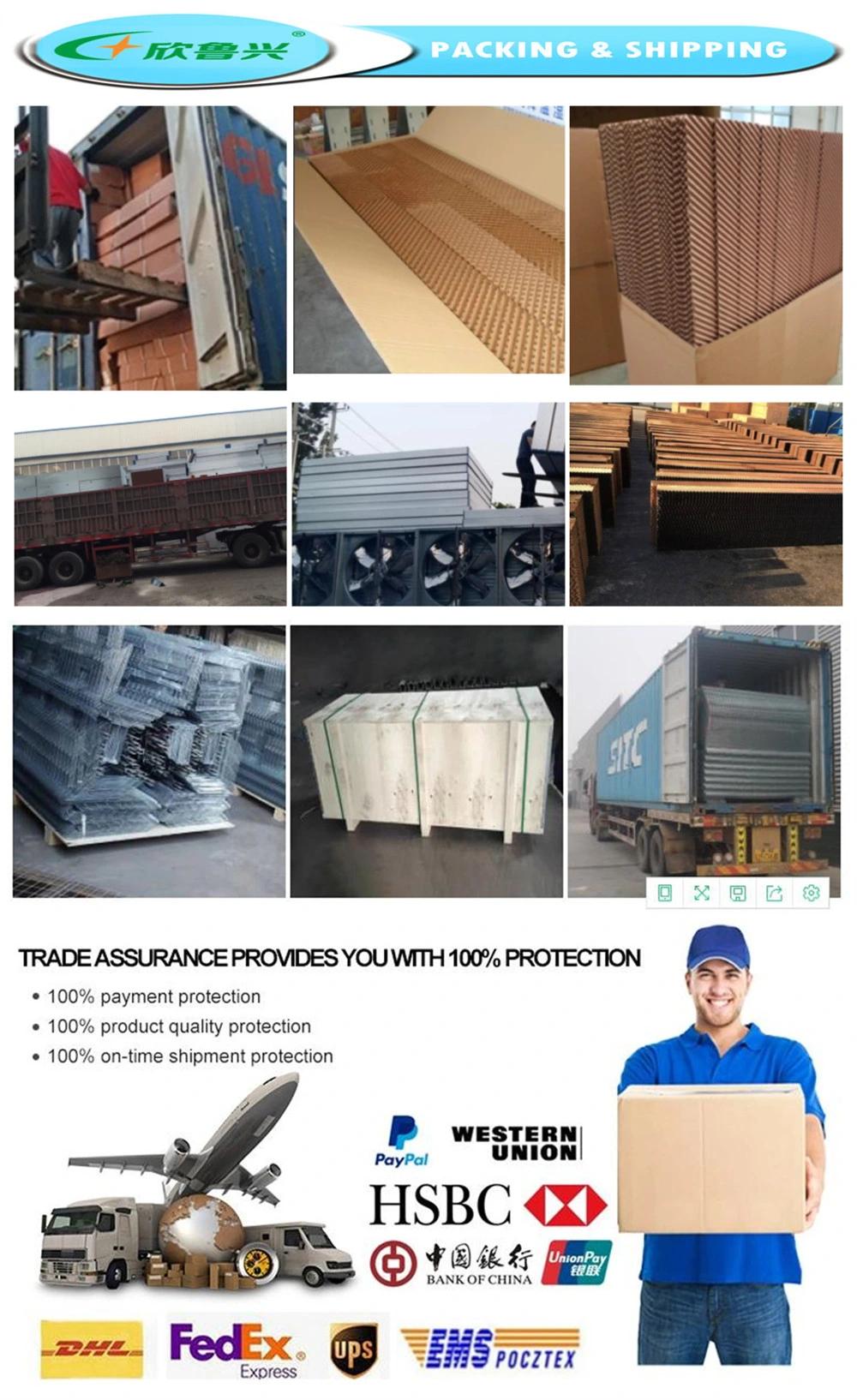Poultry Farm Equipment H Frame Layer Chicken Cage Automatic Equipment