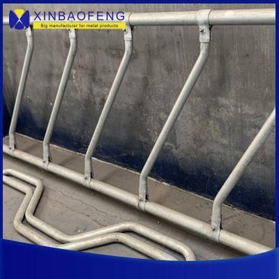 Manufacturer of Hot-DIP Galvanized Steel Pipe Farm Machinery Livestock Equipment Dairy Cow Stall Manufacturer