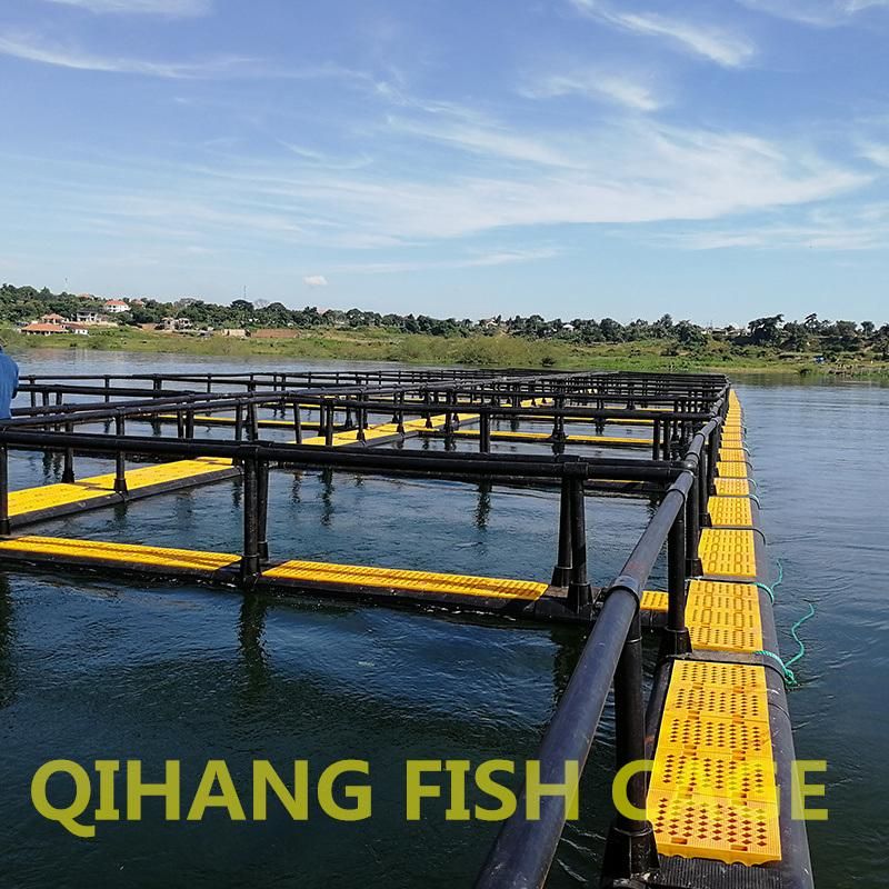 Square Fish Trap Net Fishing Farm Cage for Tilapia