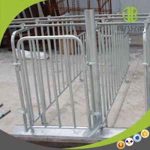 International Standard Gestation Stall Pig Stall