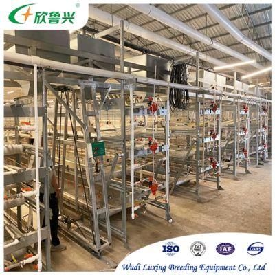 Modern Automatic 3/4/5/6/ Tiers H Type Poultry Battery Cages for Layers