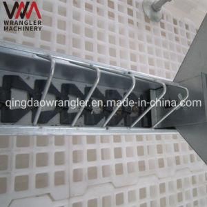 Automatic Feeder Poultry Chain Feeding System for Broiler Breeder Chickens