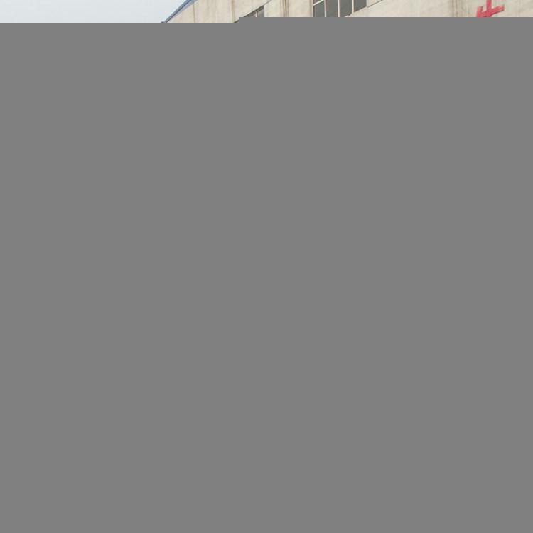 Palm Kernel Cassia Castor Seed Cleaning and Sorting Machine