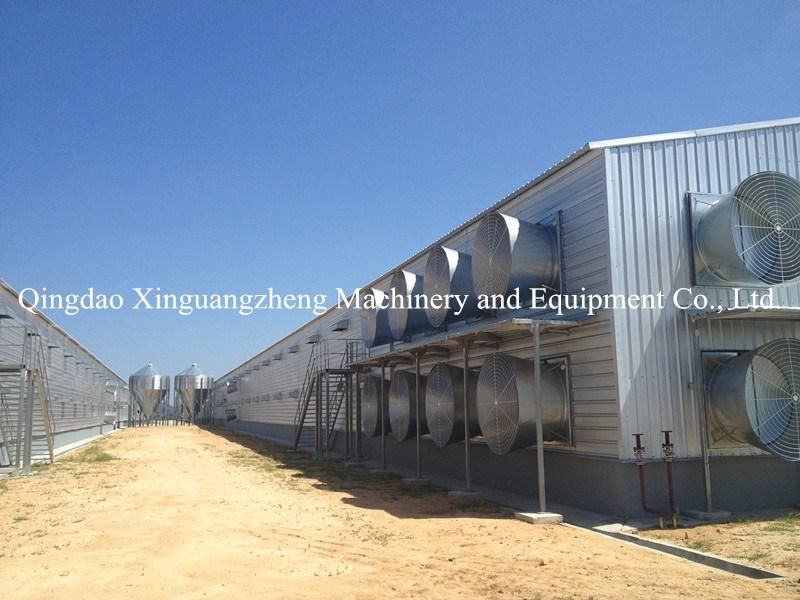 Steel Structure Prefab Hen Chicken House and Equipment System