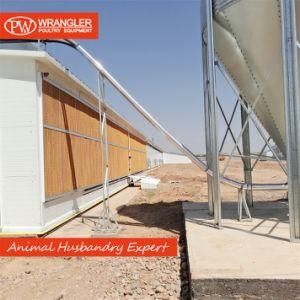 Complete Set Poultry Farm Rearing Equipment for Broiler