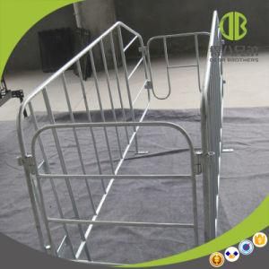 New Type Swine Hot-DIP Galvanized Gestation Stall