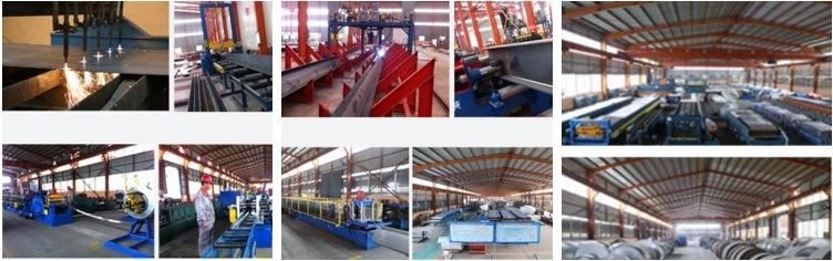 Steel Frame Structure Chicken Coop House in Poultry Farms