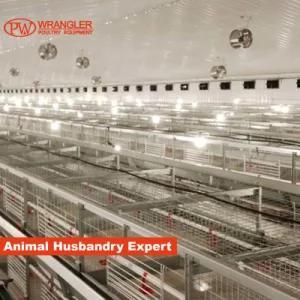 4 Tiers H Type Layer Build Chicken Coops for Poultry Farm
