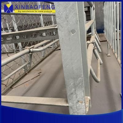 Sale of Pig Raising Equipment, Animal Husbandry Equipment, Pig Farrowing Box, Sow Farrowing Pen