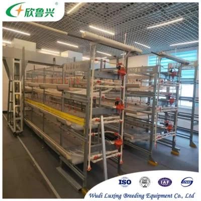 Popular 4 Tiers Chicken Layer Battery Cage for Tanzania Poultry Farm