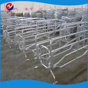 2018 Hot Sale Classic Farrowing Crate Suitable for All The Pig Farms