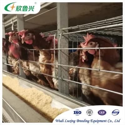 Battery Cages Galvanized Steel Trough Breeding Cage Automatic Poultry Feeder for Broiler Breeder