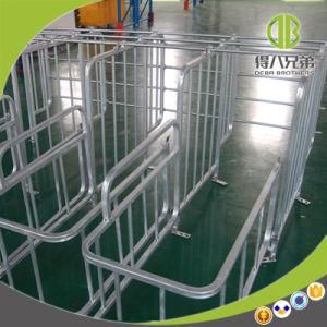 Pig Farm Gestation Stall Type with Hot-DIP Galvanized Pipe Gestation Stall