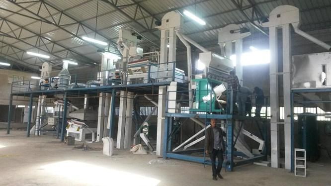 Chickpea Lentil Soya Mung Bean Sesame Seed Processing Plant (5X)