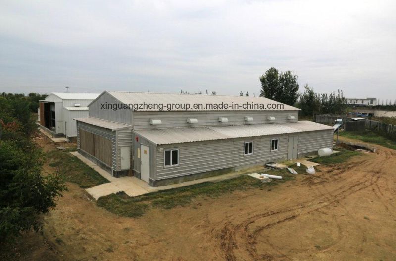 Low Cost Prefab Steel Structure Pig House