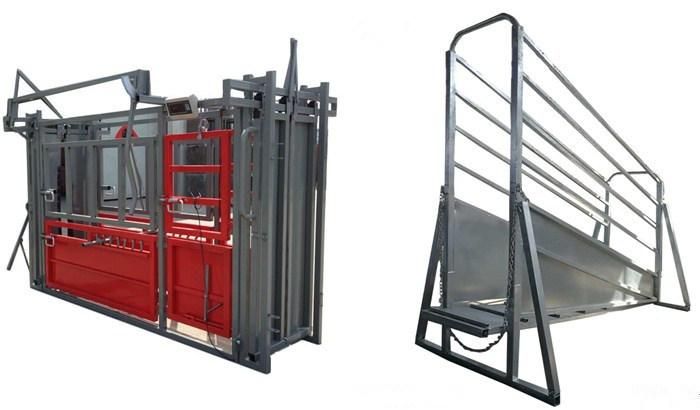 Powder Coated or Galvanized Cattle Chute with Weight Scale