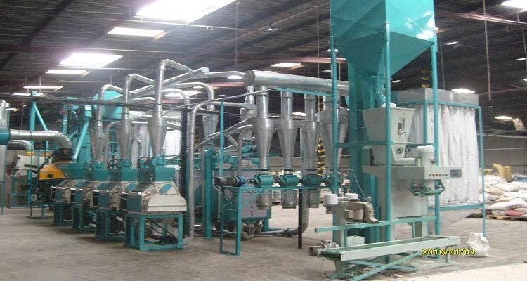 10 Ton Per Day Wheat Flour Milling Machine