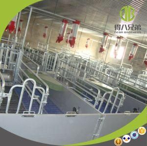 High Survival Rate Farrowing Crates with Good Price