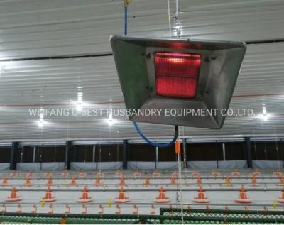 Wholesale Modern Design Automatic Controlled Poultry Farm in Philippines for Broiler Chicken
