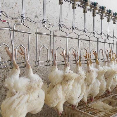 Chicken Slaughtering Processing Equipment Chicken Abattoir Equipment
